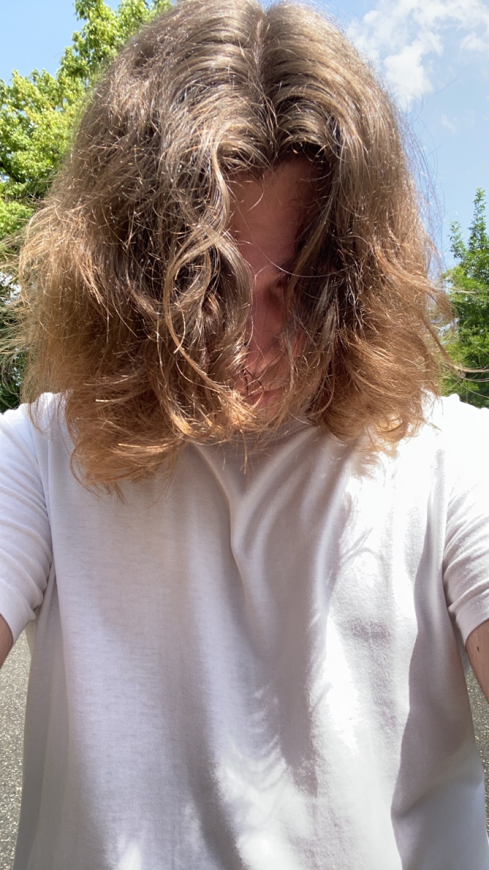 Profil de Aladin, 19 ans, Biffle à Abeilhan