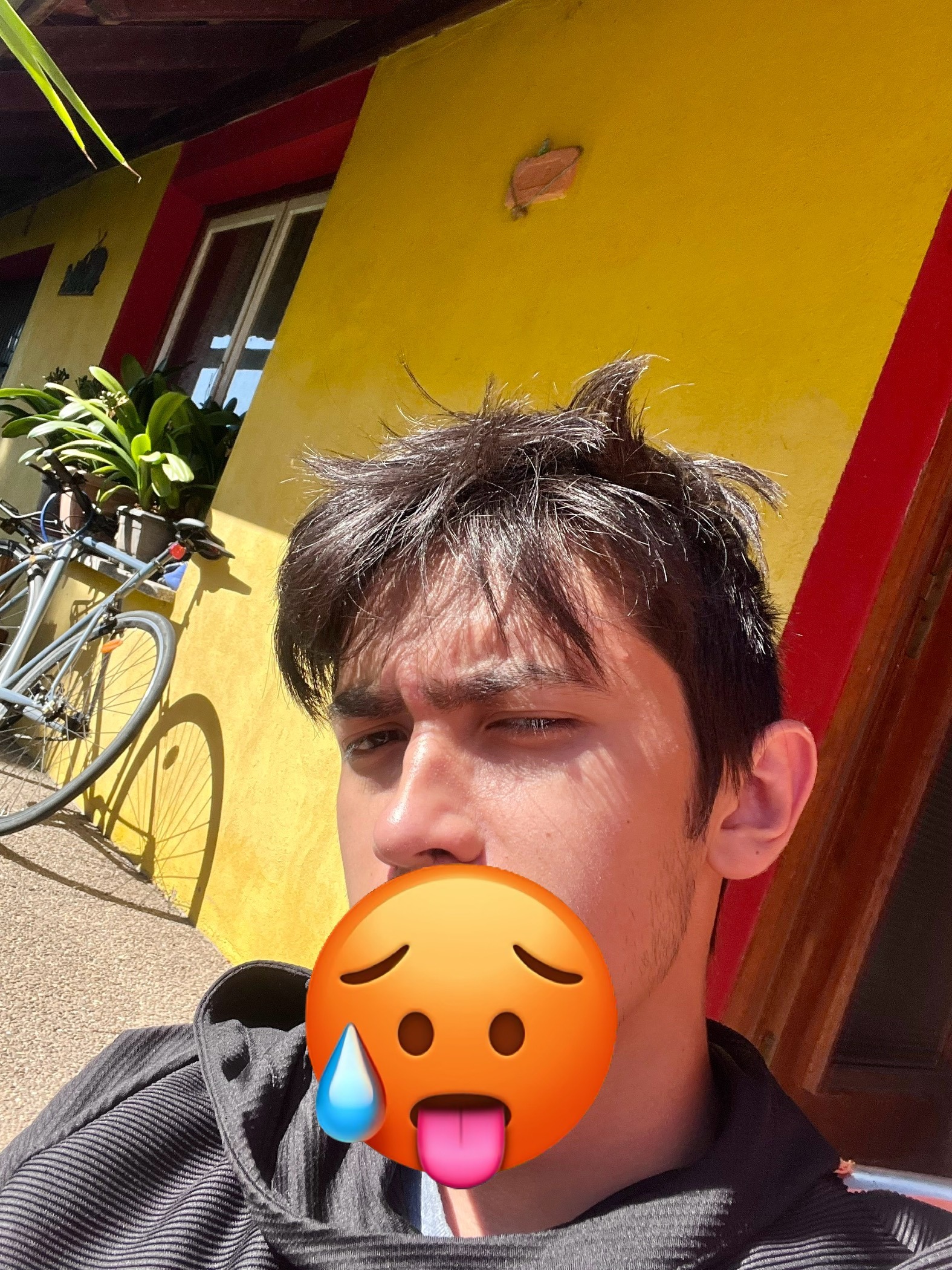 Profil de Sheik, 20 ans, Biffle à Avy